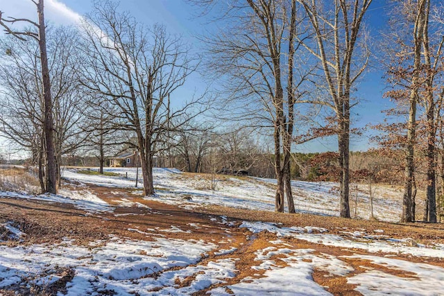 view of snowy yard