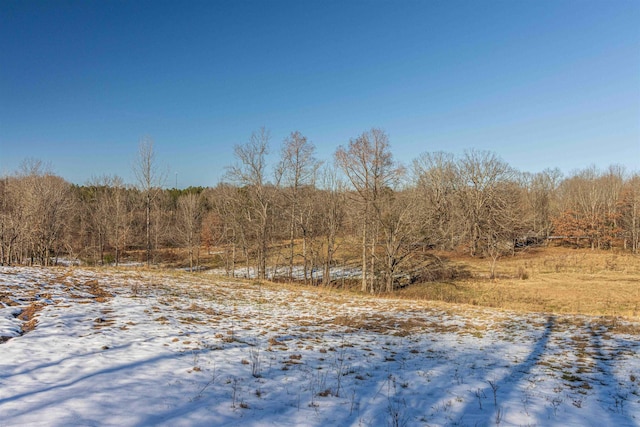 view of snow covered land