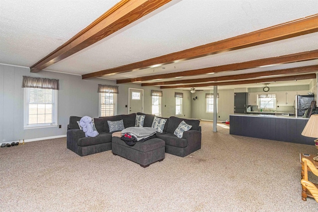 living room featuring beam ceiling and a textured ceiling