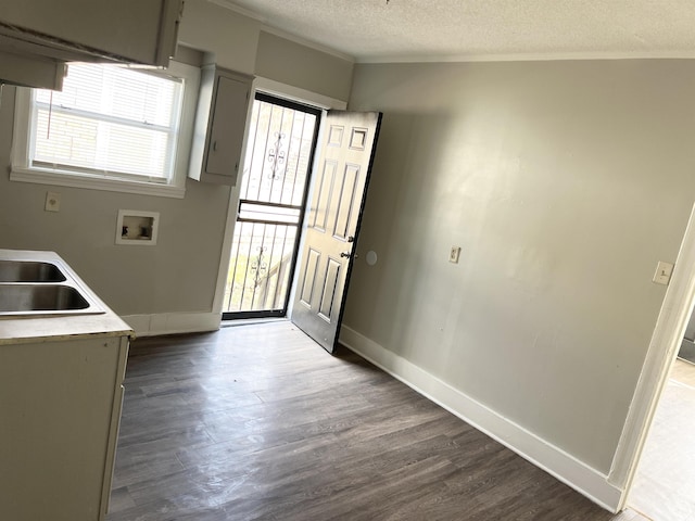 interior space with hardwood / wood-style flooring, a textured ceiling, a healthy amount of sunlight, and sink