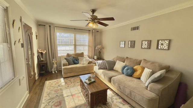 living room featuring ceiling fan, dark hardwood / wood-style flooring, and crown molding