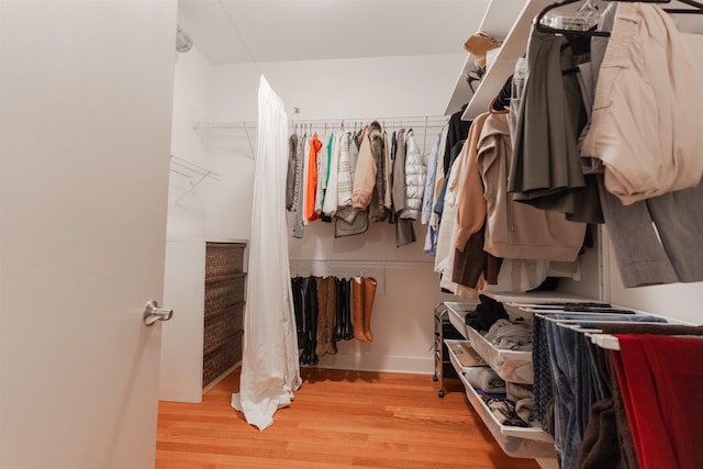 spacious closet featuring light wood-type flooring