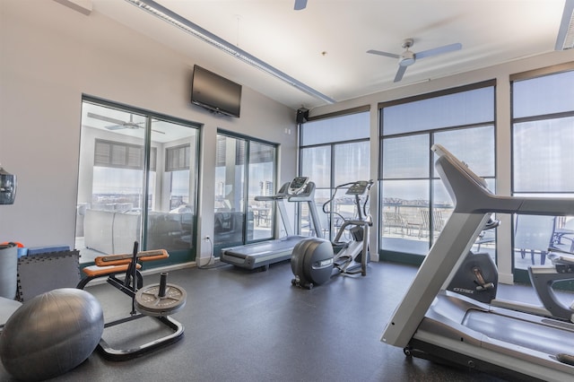 gym featuring a healthy amount of sunlight and ceiling fan