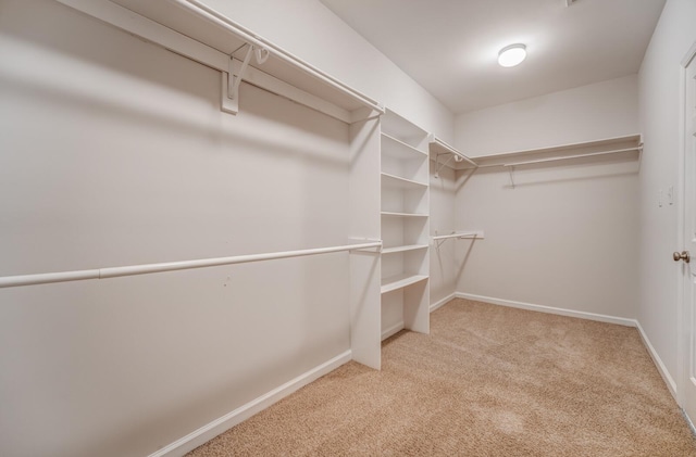 walk in closet featuring light colored carpet