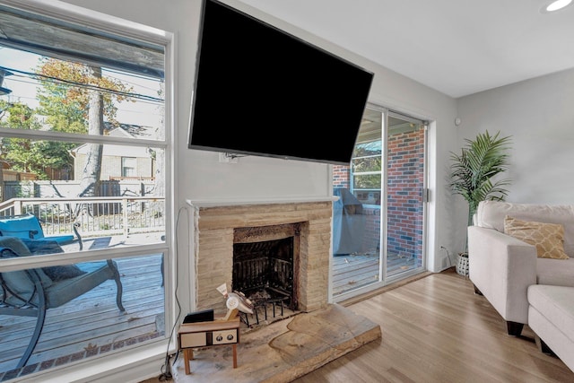 living room featuring hardwood / wood-style floors