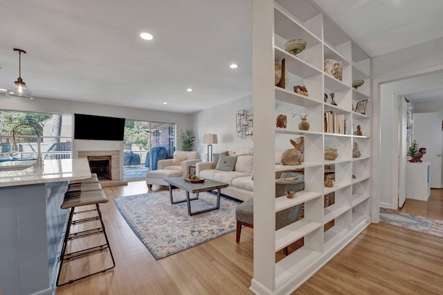 living room featuring light hardwood / wood-style flooring