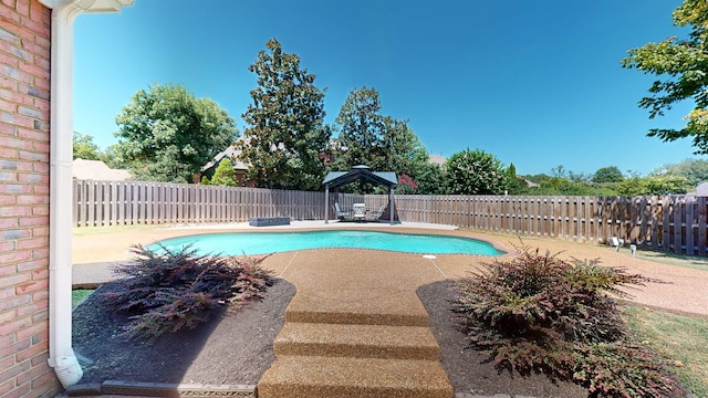 view of pool featuring a fenced in pool, a fenced backyard, and a patio