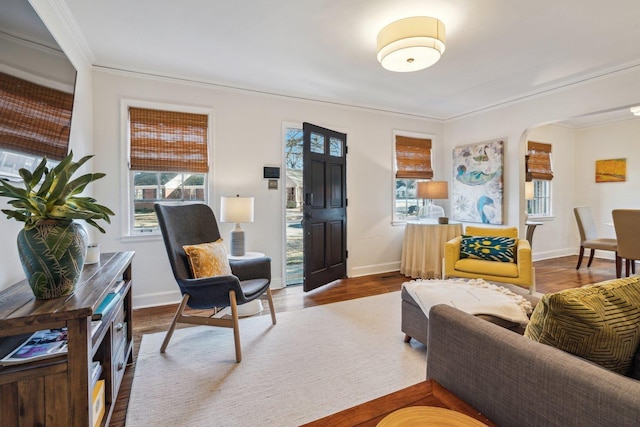 living room featuring crown molding and wood-type flooring