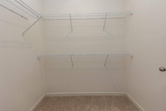 walk in closet with carpet