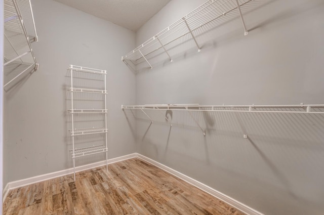 spacious closet with hardwood / wood-style flooring