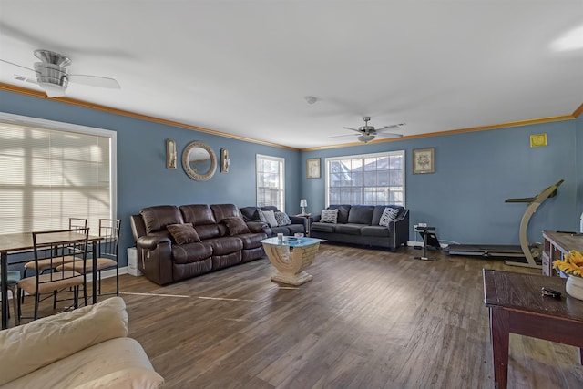 living room featuring ceiling fan, dark hardwood / wood-style floors, and crown molding