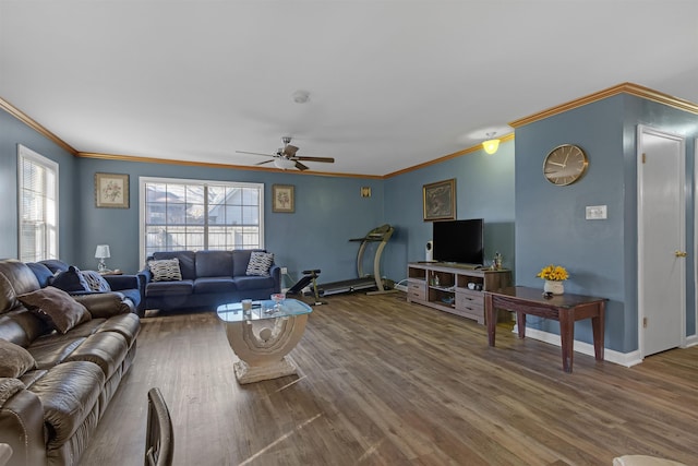 living room featuring ceiling fan, crown molding, and hardwood / wood-style floors