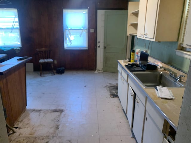 kitchen with white cabinetry, a healthy amount of sunlight, and sink