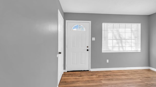 entrance foyer with light hardwood / wood-style floors and a wealth of natural light