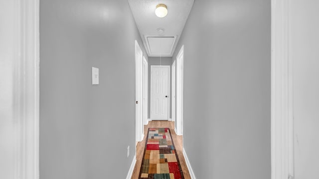 hallway with a textured ceiling and hardwood / wood-style floors