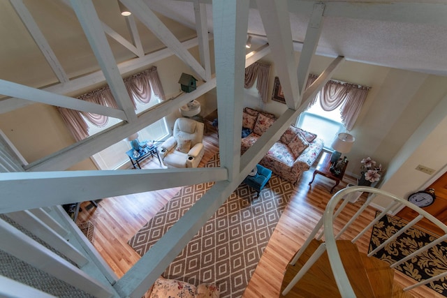 living room with lofted ceiling and hardwood / wood-style flooring