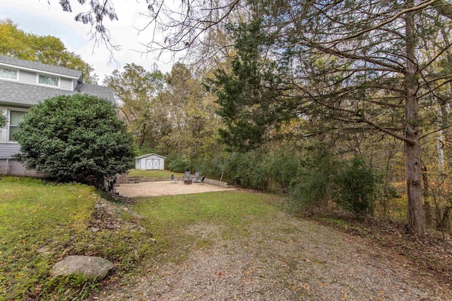 view of yard with a storage unit and a patio