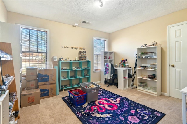 recreation room with carpet floors, plenty of natural light, and a textured ceiling