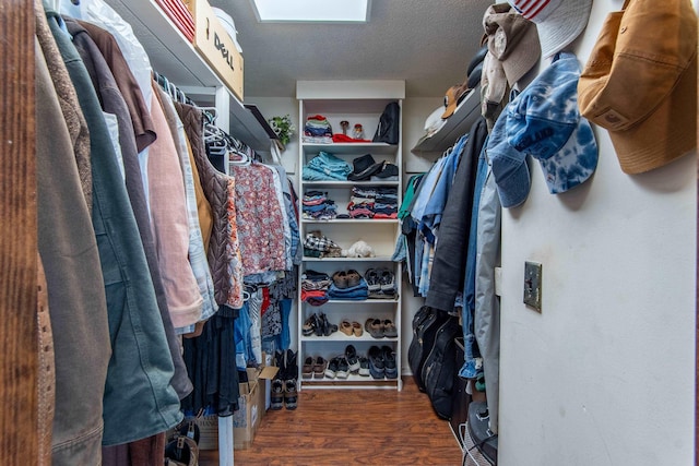 spacious closet with dark wood-type flooring