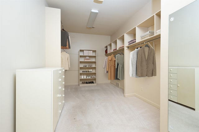 spacious closet with light carpet