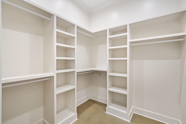 view of spacious closet