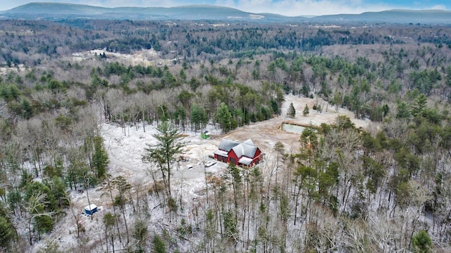 drone / aerial view featuring a mountain view