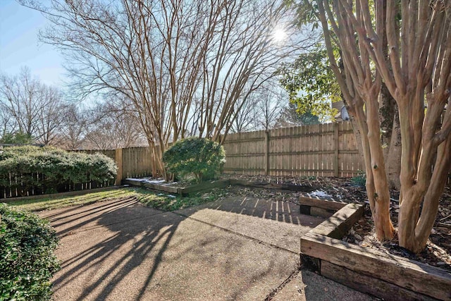 view of yard with a patio area