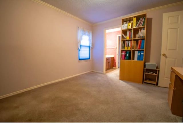 interior space with light colored carpet, a textured ceiling, and ornamental molding