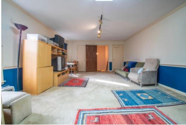 living room with carpet floors and rail lighting