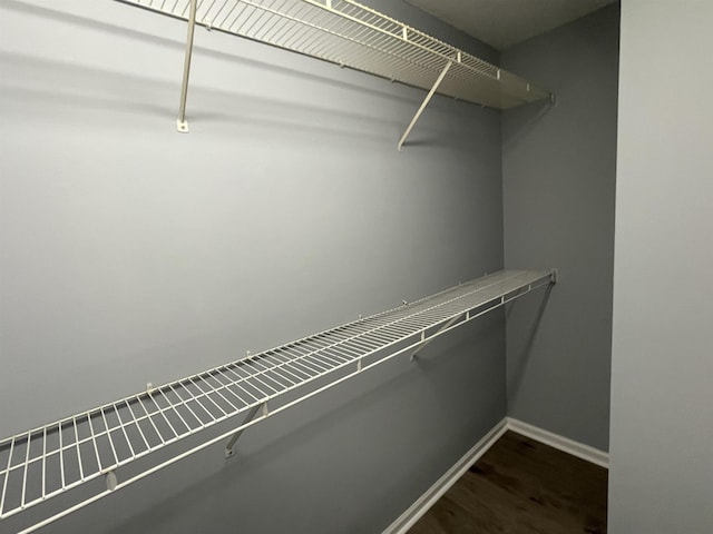 spacious closet featuring dark hardwood / wood-style floors