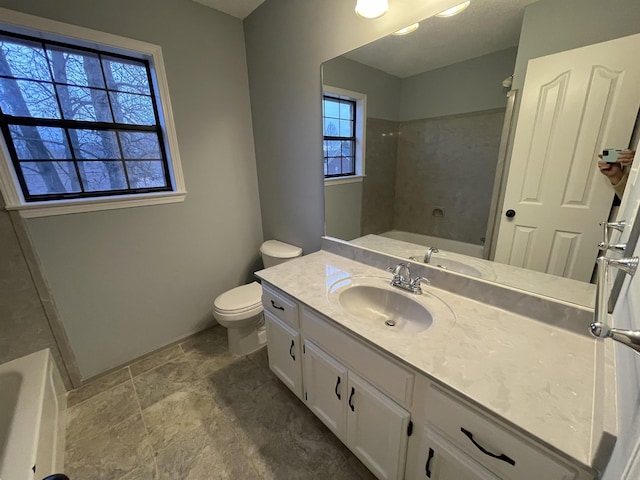 bathroom with toilet and vanity