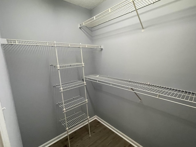 walk in closet with wood-type flooring