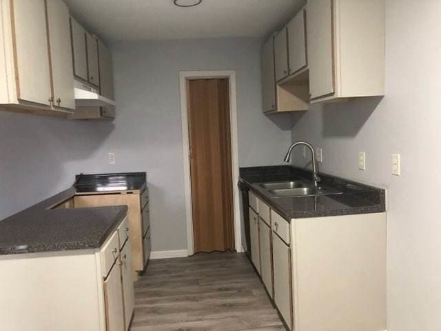 kitchen with sink and light hardwood / wood-style flooring