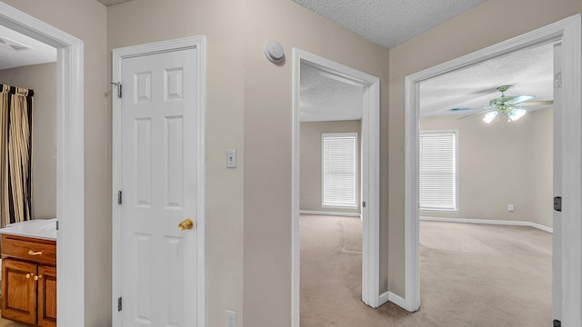 hall featuring light carpet and a textured ceiling