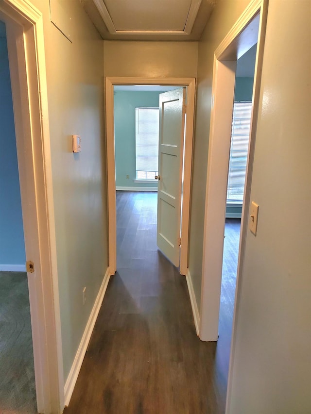 corridor with a wealth of natural light and dark hardwood / wood-style flooring