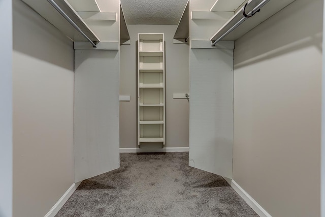 walk in closet featuring light colored carpet