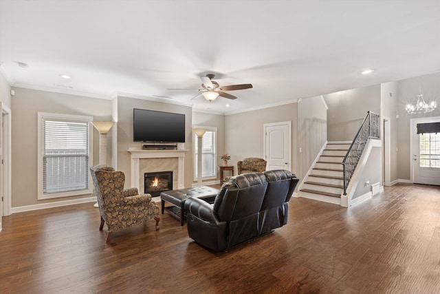 living room with ceiling fan with notable chandelier, dark wood-type flooring, and crown molding