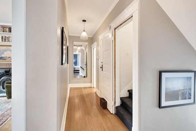 hall with light hardwood / wood-style flooring and crown molding