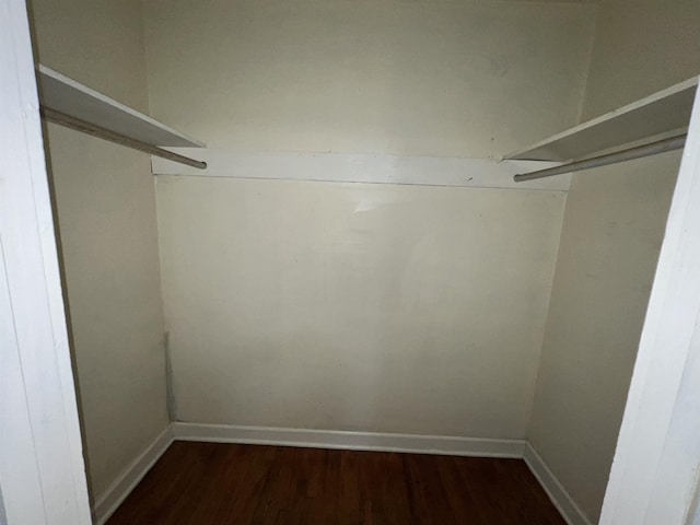 walk in closet featuring dark hardwood / wood-style flooring