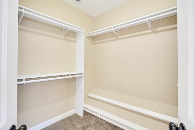 spacious closet featuring carpet flooring