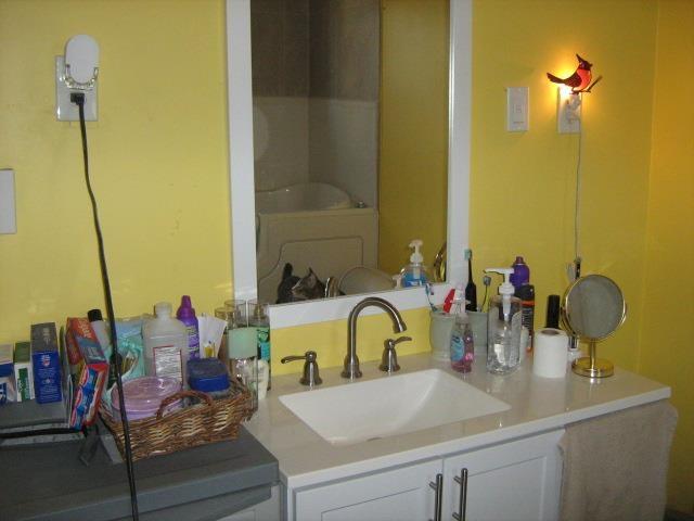 bathroom with vanity