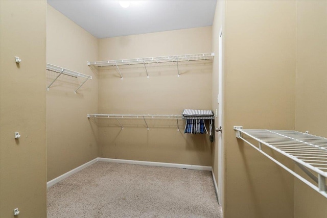 walk in closet with carpet floors