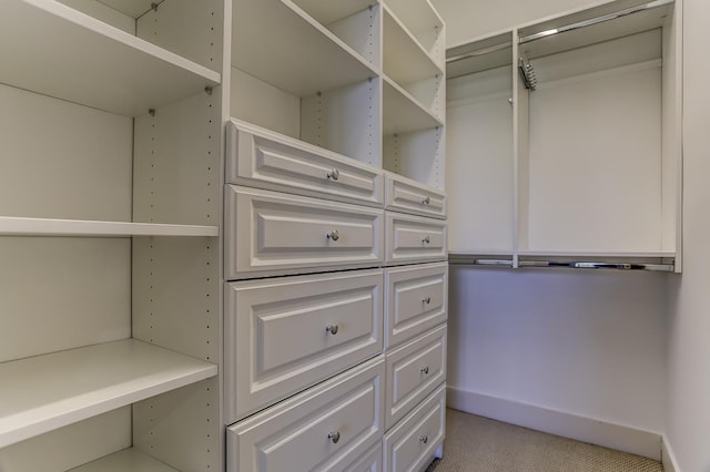 walk in closet with light carpet