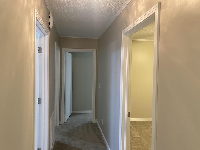 hallway featuring a textured ceiling and carpet