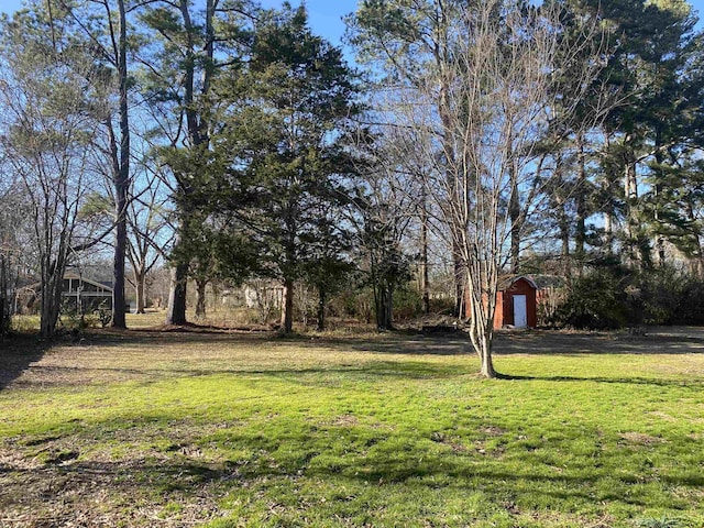 view of yard featuring a storage unit