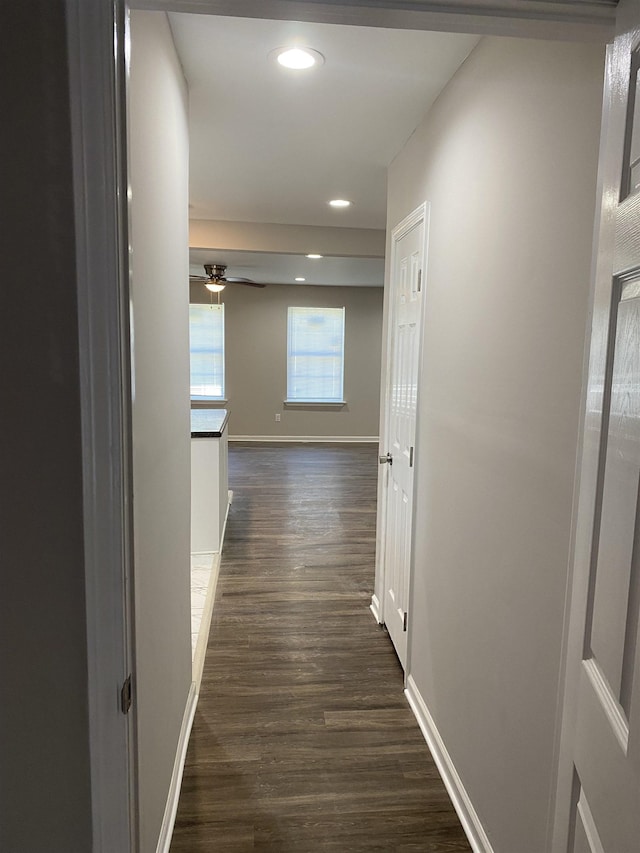 corridor with dark hardwood / wood-style flooring