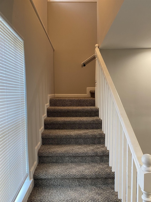 stairs with carpet flooring