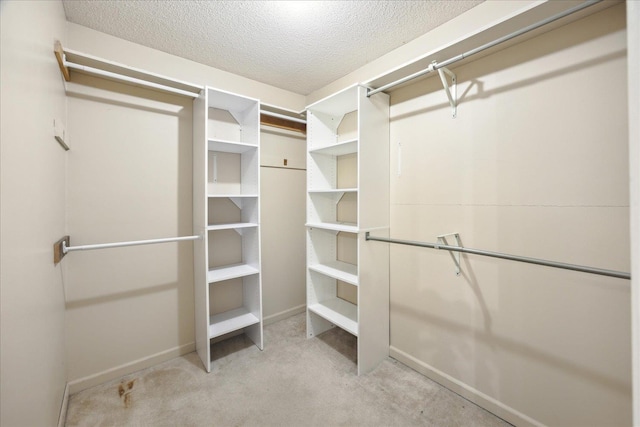 spacious closet featuring light colored carpet