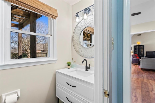 bathroom featuring hardwood / wood-style flooring and vanity