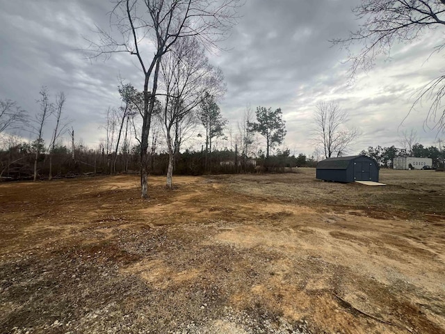 view of yard featuring a storage unit